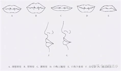 嘴唇|嘴唇形有哪几种？什么样的唇形好看？